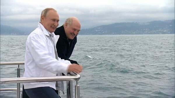 Путин и Лукашенко наблюдали за дельфинами на морской прогулке после переговоров - Sputnik Ўзбекистон
