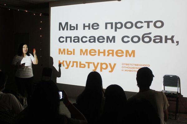 В рамках мероприятия волонтеры провели лекцию на тему защиты бездомных животных. - Sputnik Узбекистан
