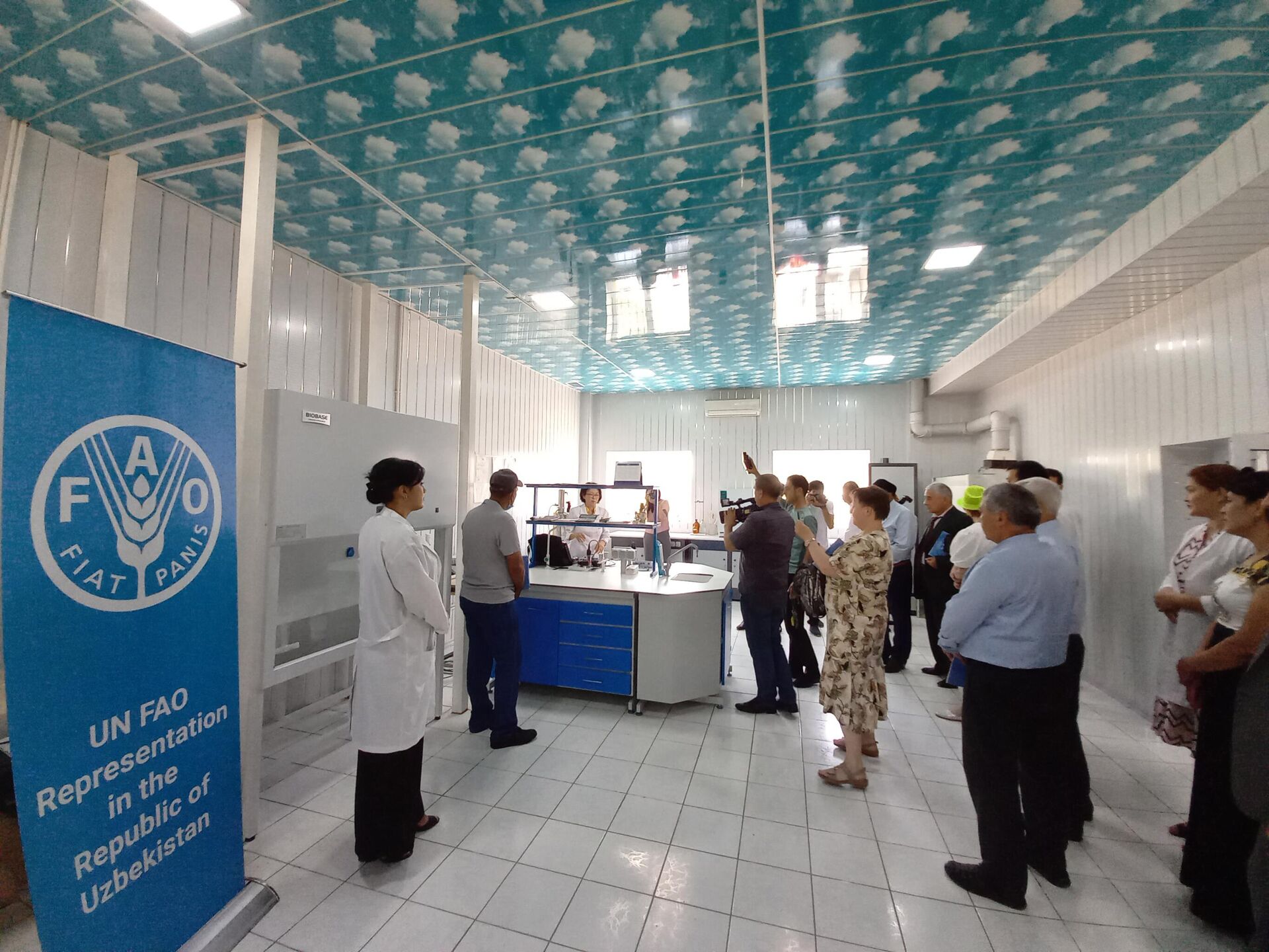 В Узбекистане открыли лабораторию по изучению здоровья рыб - Sputnik Узбекистан, 1920, 02.06.2021