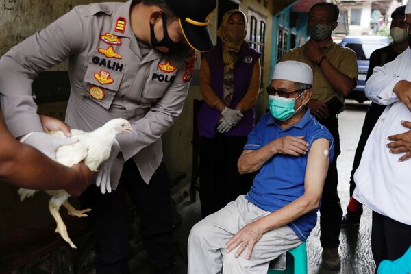В Индонезии начальник районной полиции дает живого цыпленка 68-летнему жителю деревни Синданглая, который только что получил свою первую дозу вакцины против COVID-19. - Sputnik Узбекистан