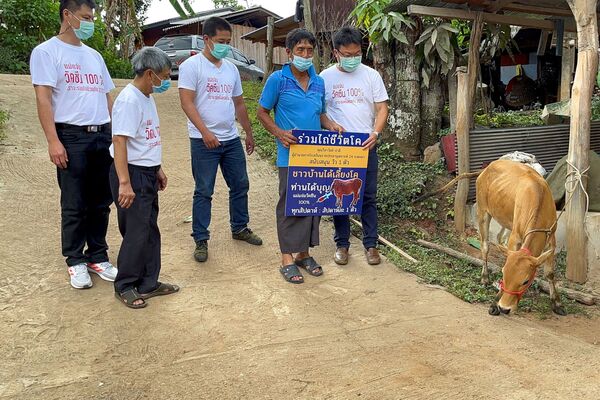 В провинции Чиангмай в Таиланде местный житель выиграл живую корову в еженедельном розыгрыше для привитых граждан. - Sputnik Узбекистан