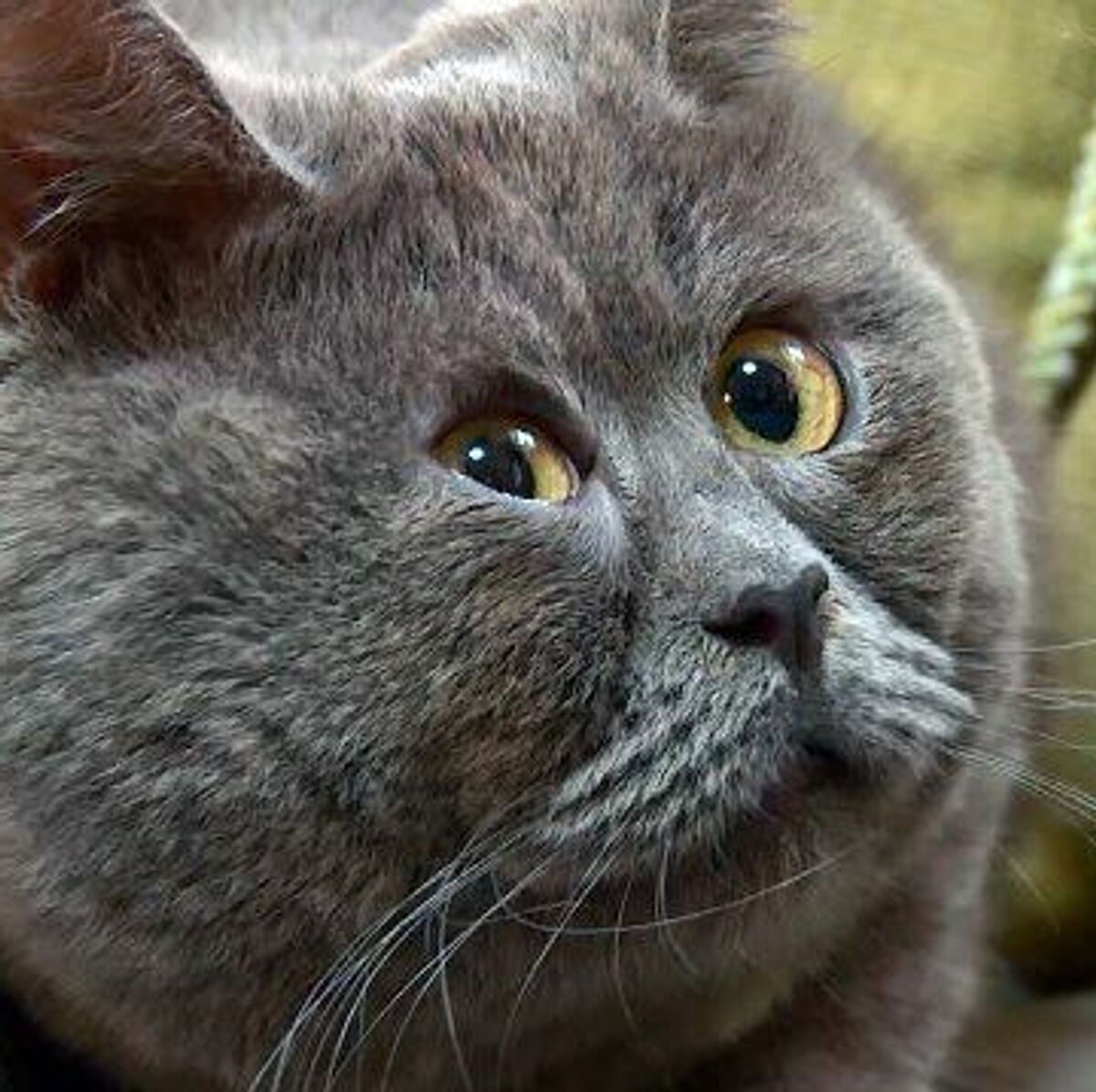 Brazzers qoramagiz jinsiy aloqa Porno videolar besp