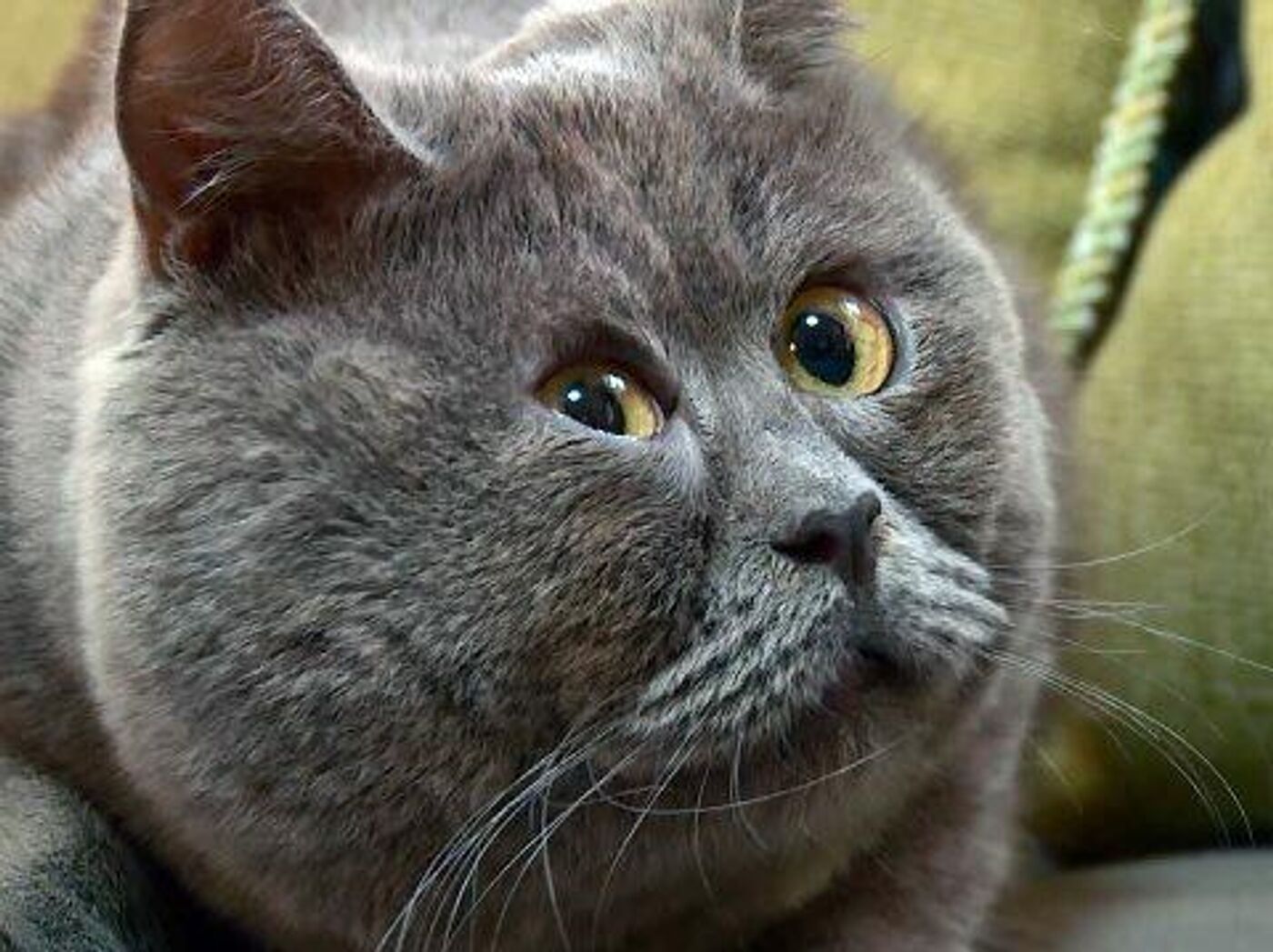 Retro uslubidagi jinsiy aloqa partiyasi