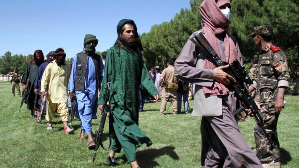 Боевики движения Талибан - Sputnik Узбекистан