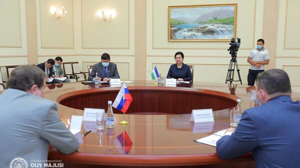 Глава Сената Узбекистана Танзила Нарбаева провела встречу с послом РФ в Узбекистане Олегом Мальгиновым - Sputnik Узбекистан