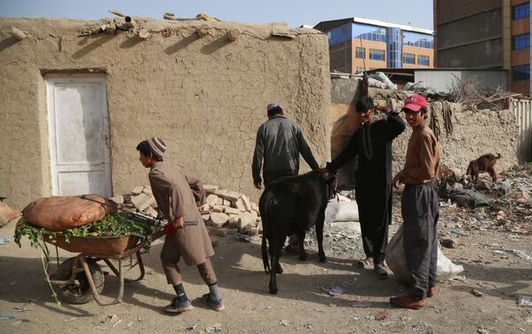 Люди во временном лагере для пострадавших в результате боевых действий в Кабуле занимаются привычными домашними делами. - Sputnik Узбекистан