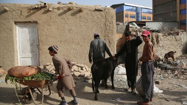 Беженцы из зоны боевых действий в Афганистане - Sputnik Узбекистан