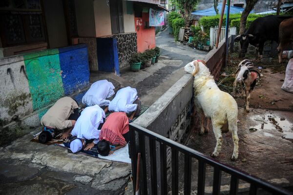 Индонезийские мусульмане совершают молитву в честь праздника Курбан-байрам на улице на фоне всплеска случаев заболевания коронавирусной инфекции в Бандунге, провинция Западная Ява, Индонезия. - Sputnik Узбекистан