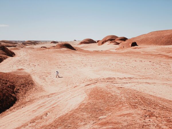 Снимок A Walk on Mars фотографа из Китая Dan Liu, занявший 1-е место в номинации &quot;Фотограф года&quot;. - Sputnik Узбекистан