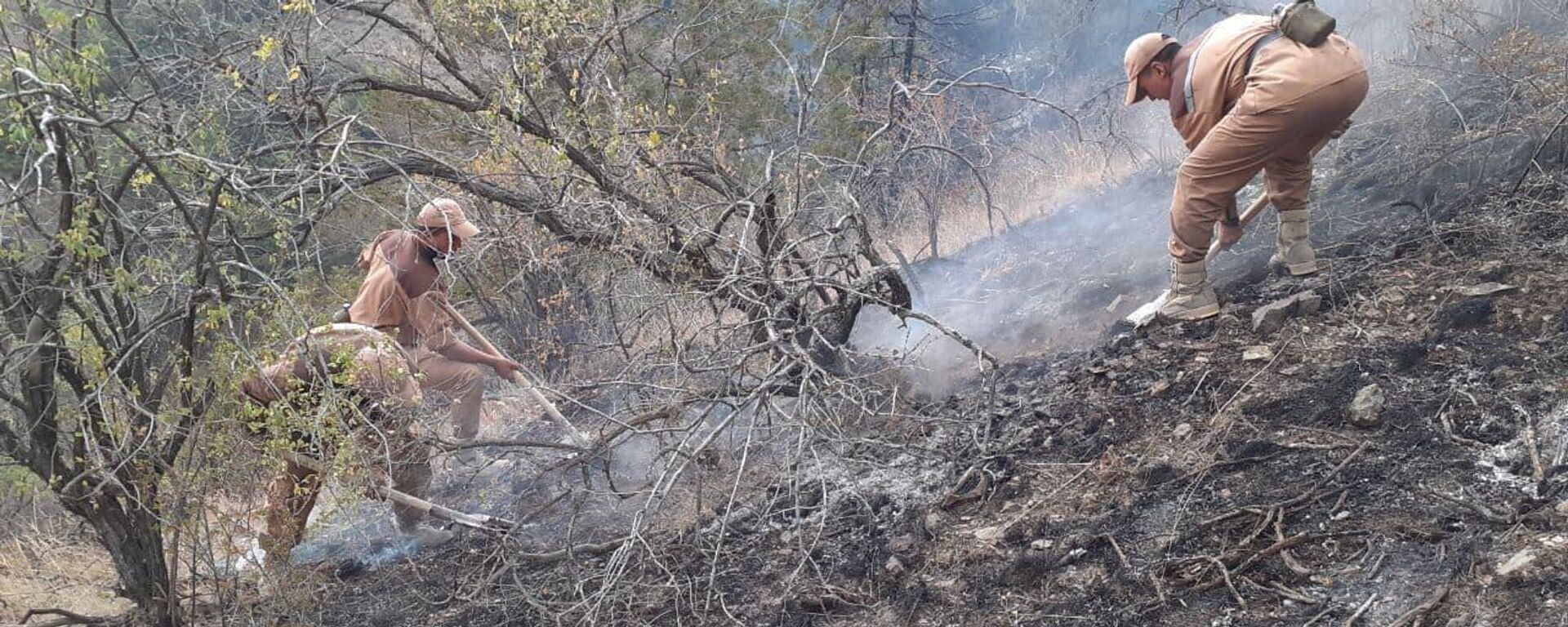Пожар, возникший в лесных угодьях Зааминского района, потушен - Sputnik Узбекистан, 1920, 02.08.2021