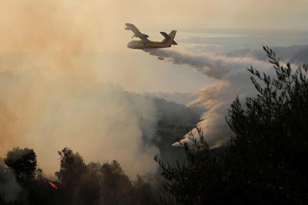 Всего в Греции за сутки произошло 80 лесных пожаров. - Sputnik Узбекистан
