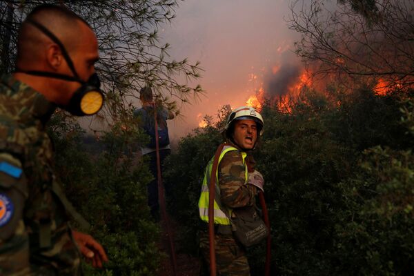 Очаги возгорания удалось локализовать благодаря проделанной работе пожарных и волонтеров. - Sputnik Узбекистан
