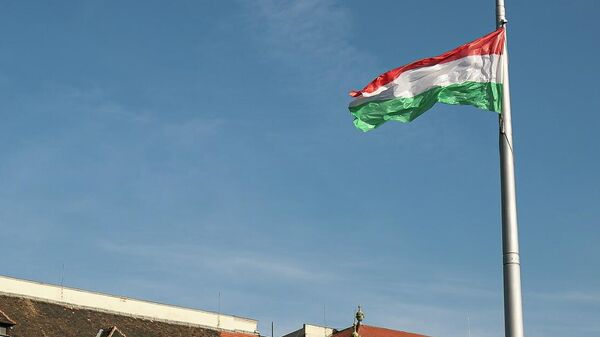 Flag Vengrii - Sputnik O‘zbekiston