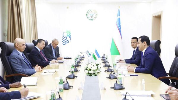 ИБР поможет Узбекистану реализовать шесть крупных инвестпроектов - Sputnik Узбекистан