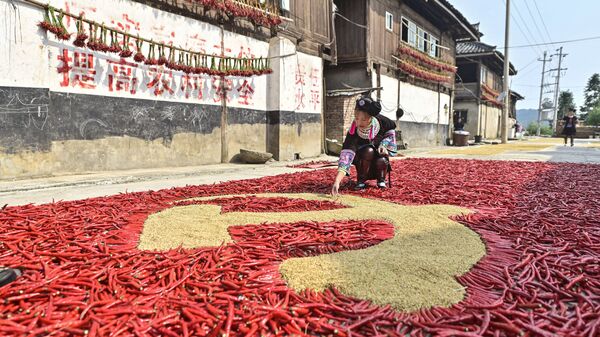 Девушка формирует флаг Коммунистической партии Китая из кукурузы и красного перца в юго-западной провинции Китая Гуйчжоу - Sputnik Узбекистан