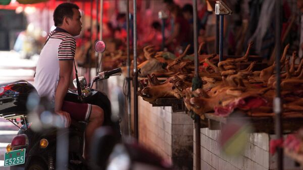 Рынок в Китае, где торгуют мясом собак - Sputnik Ўзбекистон