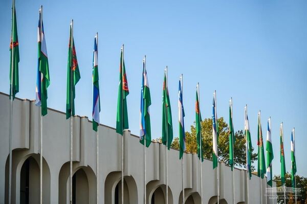 Флаги Узбекистана ва Туркменистана - Sputnik Ўзбекистон