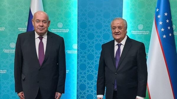 Михаил Швыдкой и Абдулазиз Камилов на переговорах в Ташкенте - Sputnik Узбекистан