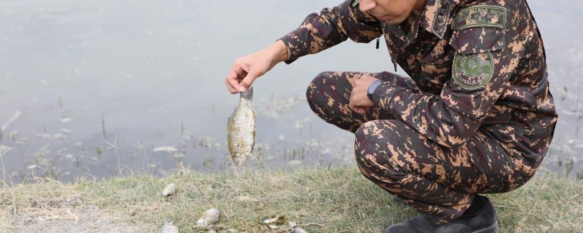 Массовый замор рыбы произошел на участке реки Зарафшан - Sputnik Ўзбекистон, 1920, 09.10.2021