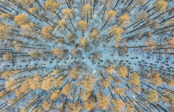 Снимок &quot;На лыжах в весну&quot; китайского фотографа Чан Сюй победил в категории &quot;Моя Планета, одиночные фотографии&quot;. - Sputnik Узбекистан