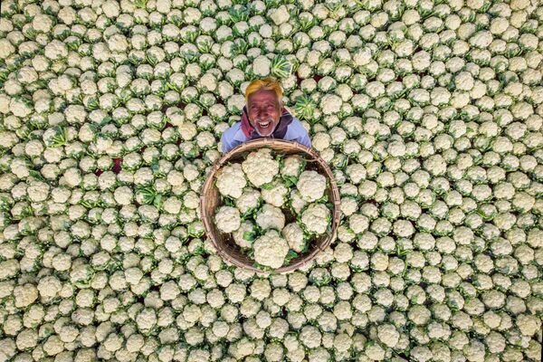 Снимок Рафида Ясара из Бангладеш &quot;Счастливый фермер&quot;. Этот кадр получил особую отметку жюри в категории &quot;Моя Планета, одиночные фотографии&quot;. - Sputnik Узбекистан
