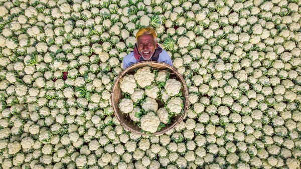 Снимок Рафида Ясара из Бангладеш Счастливый фермер, получивший особую отметку жюри в категории Моя Планета, одиночные фотографии конкурса имени Стенина - Sputnik Узбекистан