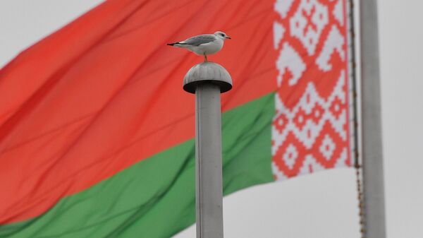 Флаг Беларуси, архивное фото - Sputnik Узбекистан