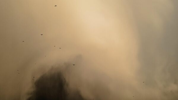 Пыльная буря, иллюстративное фото - Sputnik Узбекистан