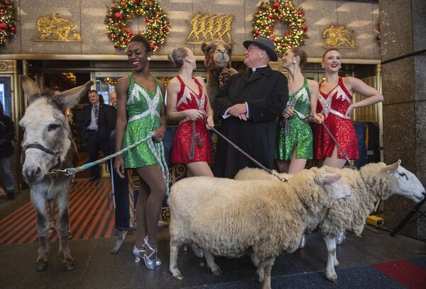 Кардинал Нью-Йорка Тимоти Долан и Radio City Rockettes c верблюдом, овцами и ослом в постановке рождественского спектакля в Radio City Music Hall в Нью-Йорке, 2 ноября. - Sputnik Узбекистан
