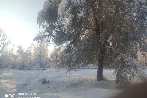 Снег в Сохском районе - Sputnik Ўзбекистон