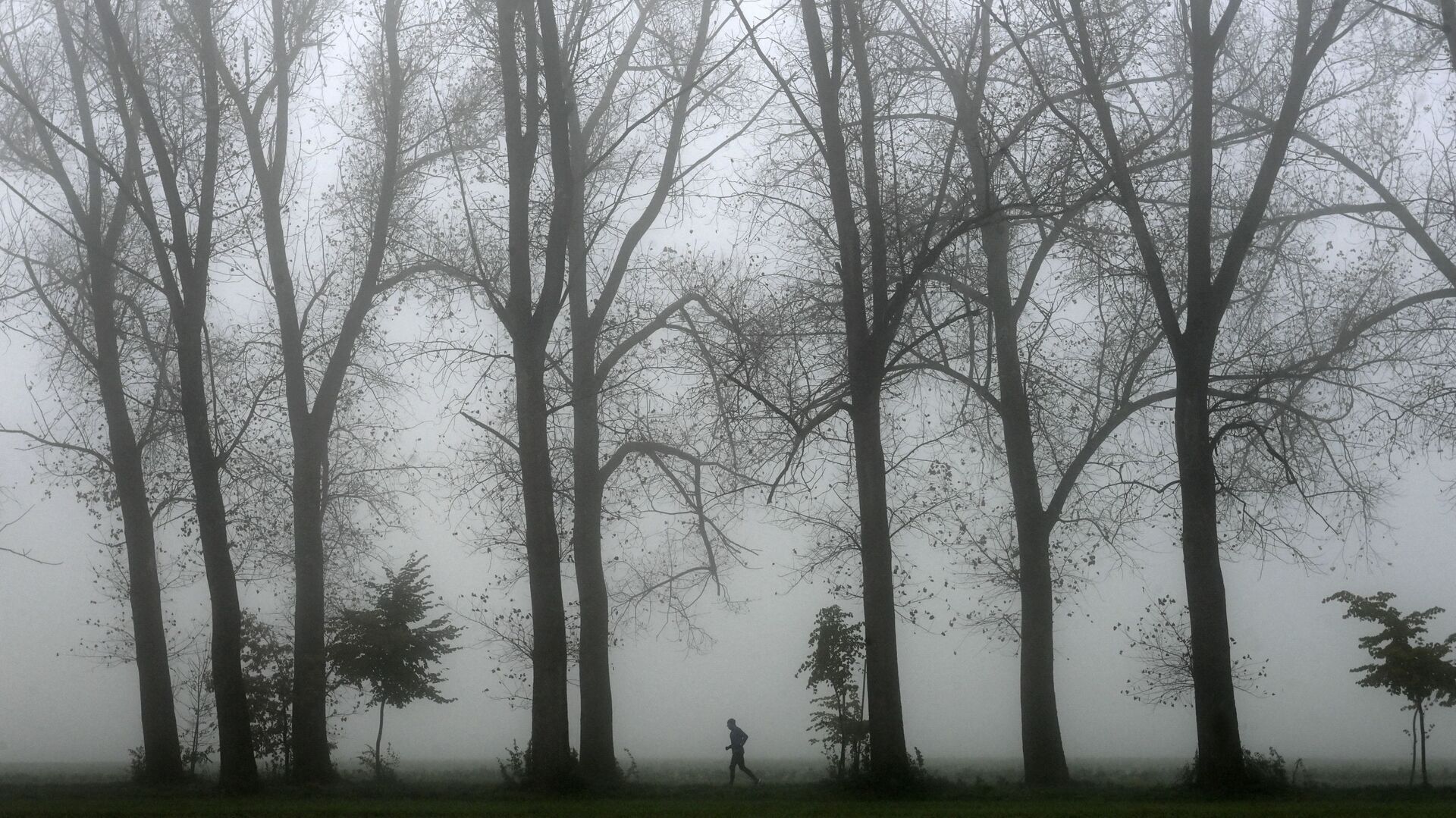 Туман у баварской деревни Groebenzell в Германии  - Sputnik Ўзбекистон, 1920, 03.12.2021