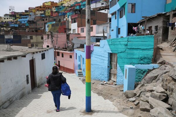 Разноцветные стены домов выделяются на фоне фавелов — бедных районов, расположенных ближе к подножью холма. - Sputnik Узбекистан