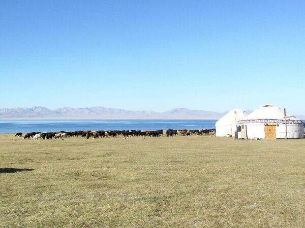 Лагерь скотоводов на летнем пастбище (Джайлоо) Сон-Кол в Нарынской области - Sputnik Узбекистан