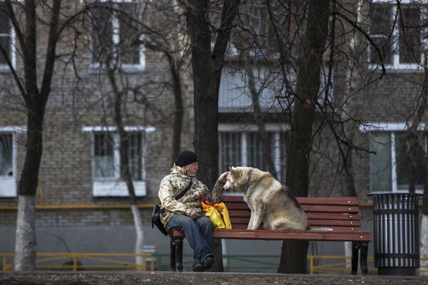 Мужчина гладит свою собаку на скамейке в Москве. Россия, 23 апреля 2015 г. - Sputnik Узбекистан
