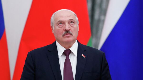 Президент Республики Беларусь Александр Лукашенко - Sputnik Ўзбекистон
