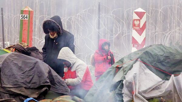 Мигранты на границе Польши и Беларуси - Sputnik Узбекистан