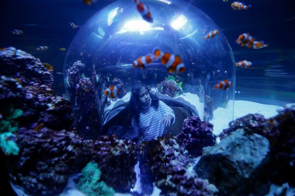 Площадь аквариума семь тысяч квадратных метров. Ежегодно здесь смогут побывать до миллиона гостей. - Sputnik Узбекистан