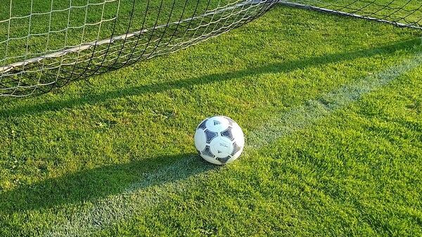 Футбольный мяч в воротах - Sputnik Узбекистан