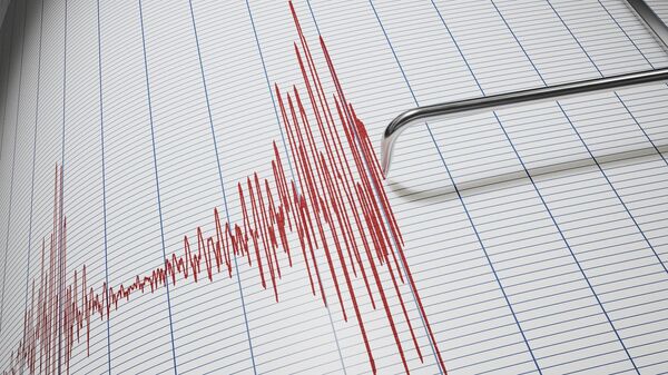 Сейсмограф для обнаружения землетрясений - Sputnik Узбекистан