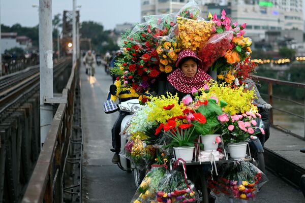Торговка искусственными цветами едет на велосипеде по мосту Лонгбьен в Ханое 12 января 2021 года. - Sputnik Узбекистан
