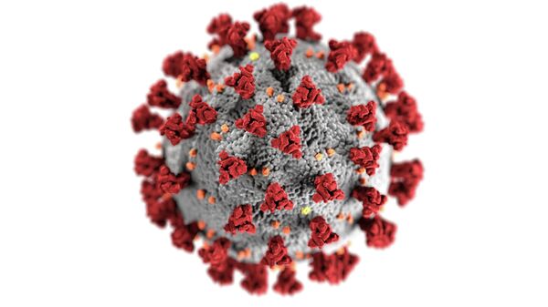 Koronavirus, illyustrativnoe foto - Sputnik O‘zbekiston