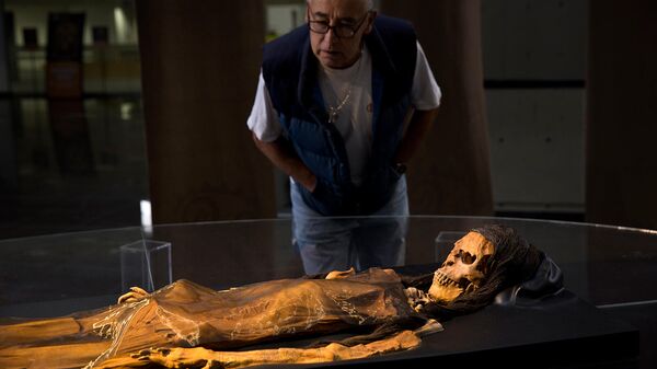 Посетитель Национального музея в Лиме смотрит на копию мумии Леди Цао, найденную в 2005 году на месте археологических раскопок Уака-эль-Брухо (5 июля 2017). Перу - Sputnik Узбекистан