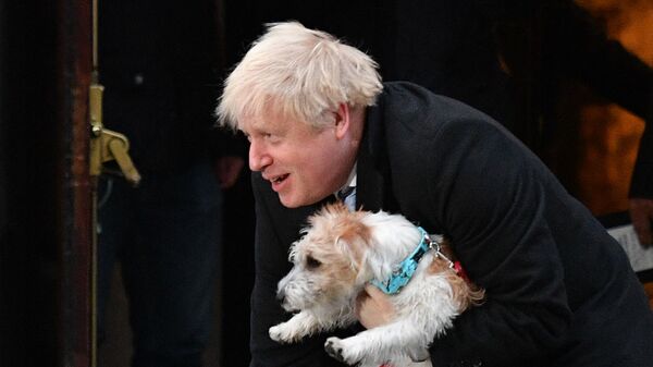 Премьер-министр Великобритании Борис Джонсон со своей собакой Дилин в Лондоне  - Sputnik Узбекистан