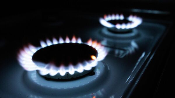 Кухонная газовая плита. Иллюстративное фото - Sputnik Узбекистан