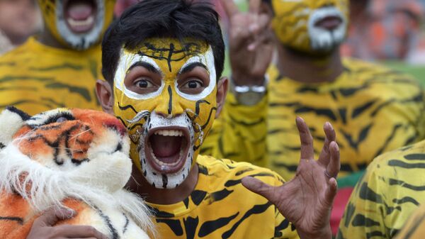 Болельщики, одетые как тигры, символ крикета Бангладеш, болеют за свою команду на матче между Бангладеш и Англией в Дакке - Sputnik Узбекистан