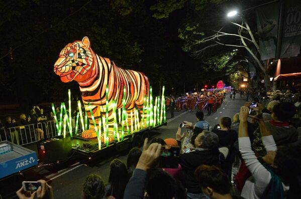 Гигантскую скульптуру тигра везут через центральную часть Сиднея в честь 100-летия зоопарка Таронга, 15 октября 2016 г. Десять огромных светящихся фигур изображали десять видов животных, находящихся на грани вымирания.  - Sputnik Узбекистан