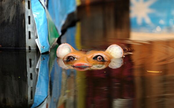 Глаза и нос фигуры тигра выглядывают из воды во время наводнения в Бангкоке, 7 ноября 2011 г. По мнению экспертов, столица Тайланда, построенная на болотистой почве, постепенно тонет, и нынешние наводнения лишь первые признаки того, что ждет город в будущем из-за изменений климата. - Sputnik Узбекистан