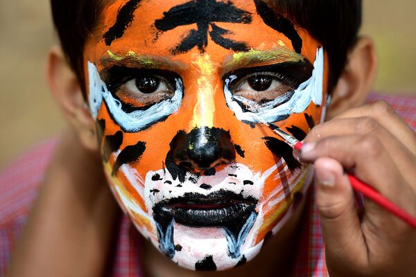 Маленький индиец с раскрашенным под тигра лицом в парке Бангалора во время акции в поддержку вымирающих видов тигров 1 августа 2015 года. - Sputnik Узбекистан