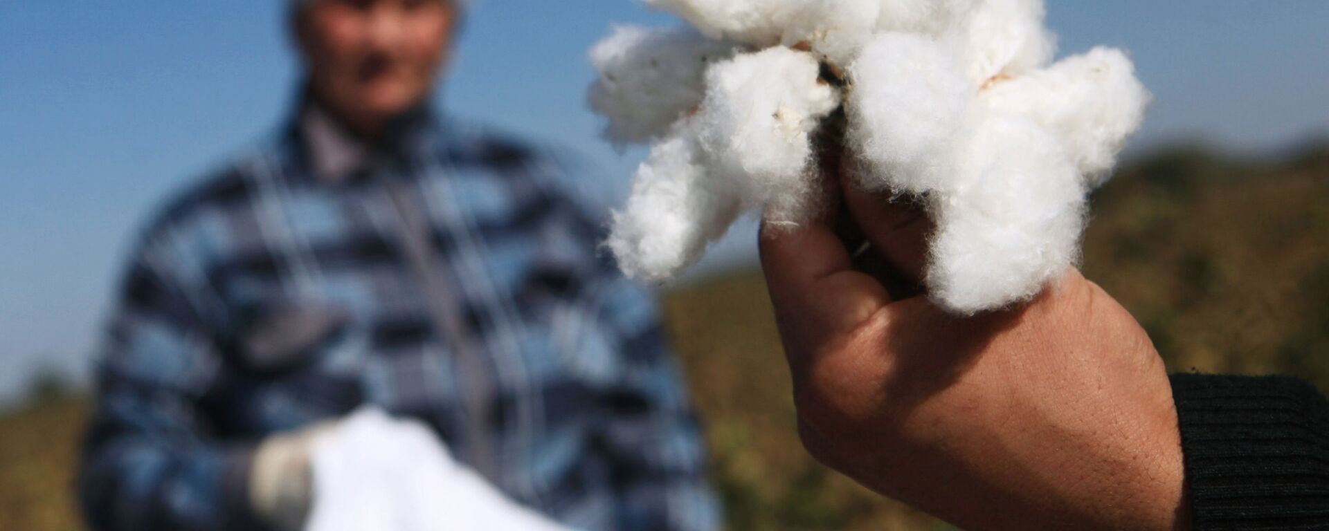 Sbor urojaya xlopka - Sputnik O‘zbekiston, 1920, 14.09.2025