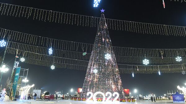 Главная новогодняя елка Узбекистана - Sputnik Узбекистан